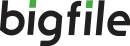 bigfile logo